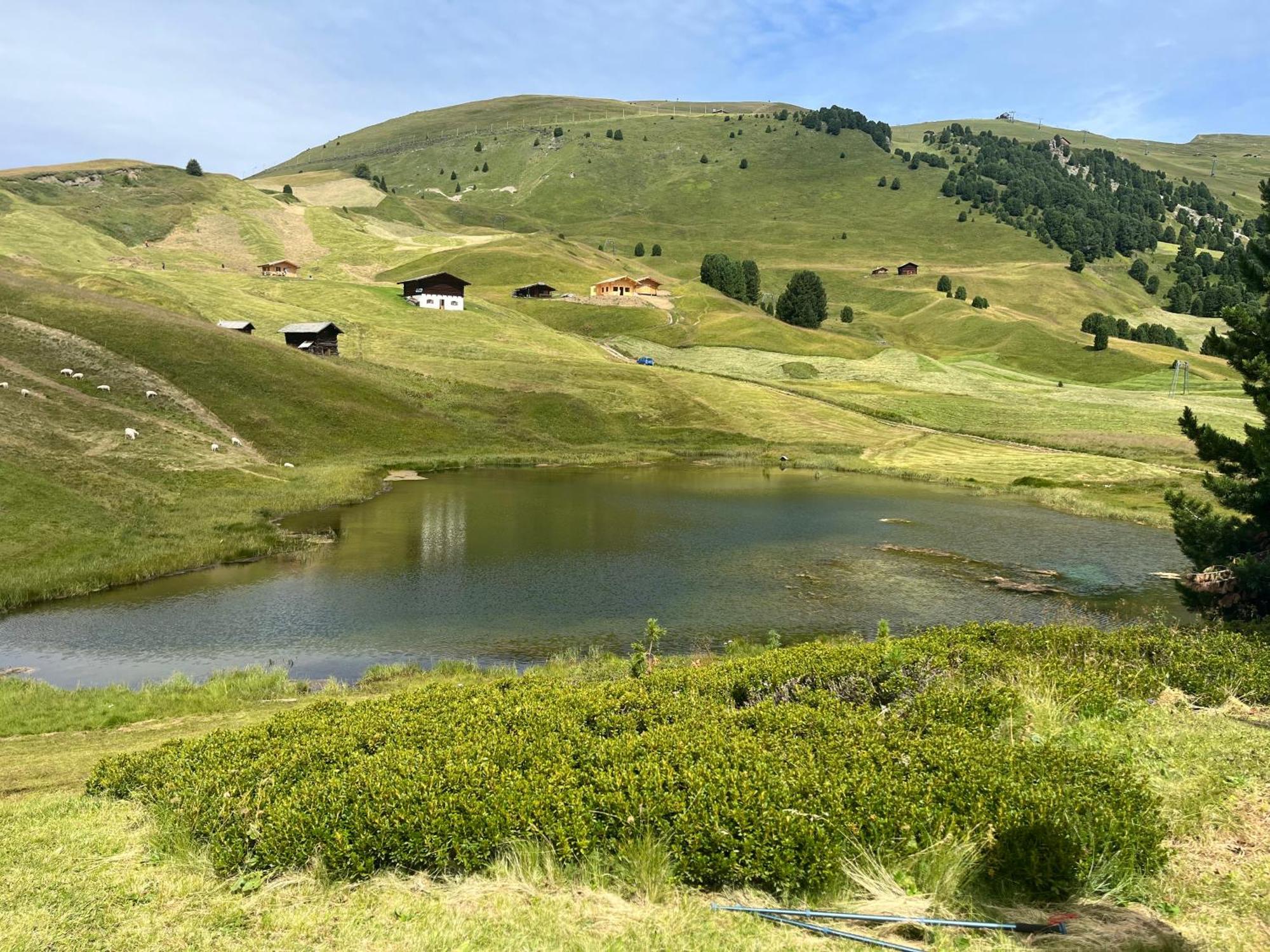 Hotel Alaska Selva di Val Gardena Ngoại thất bức ảnh