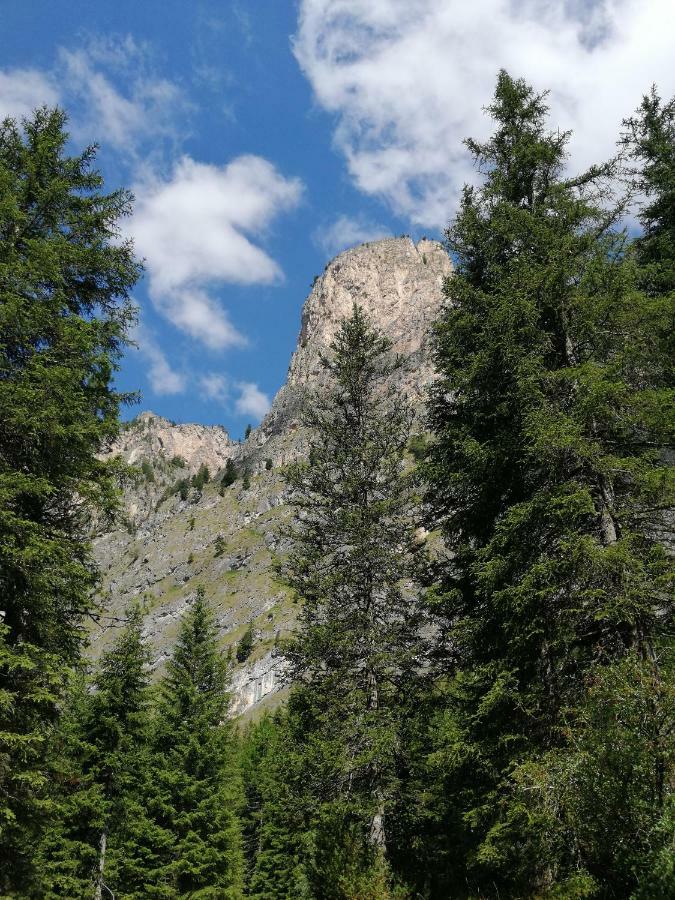 Hotel Alaska Selva di Val Gardena Ngoại thất bức ảnh